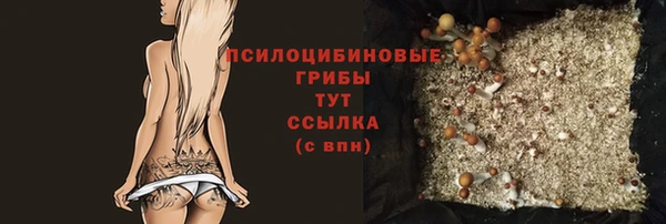 МДПВ Абдулино