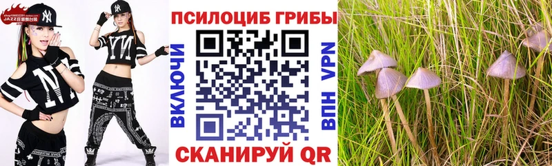 Псилоцибиновые грибы Magic Shrooms Мостовской